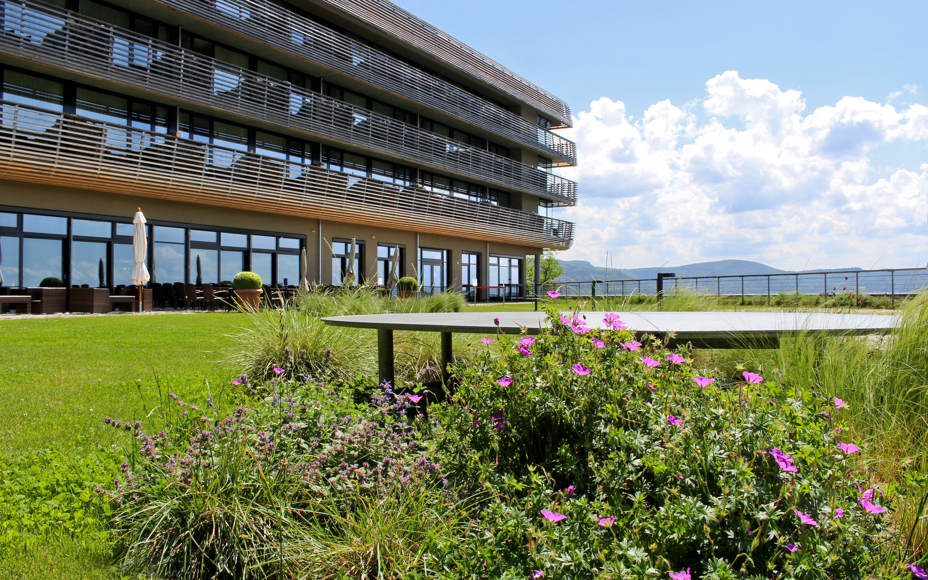 Roof garden with lawn, shrubs and a ventilation shaft